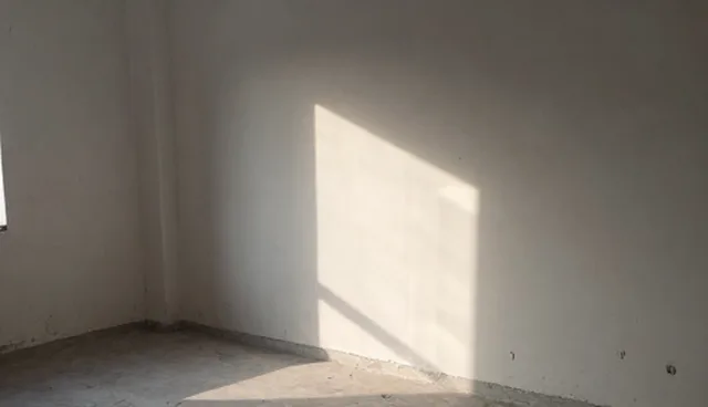 技术引进中设备适配性对结果的影响